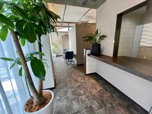 ユー(U)の雰囲気（開放感ある明るい店内で落ち着いたサロンです。）