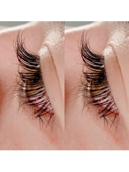 シルフ TOKYO銀座(Sylph)/