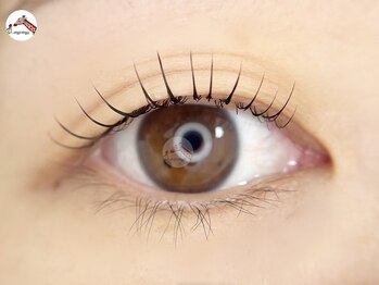 ミリミリ(milimili)/lashlift