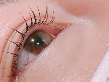 ヘアーアンドアイラッシュ デュークス 古河店(hair & eyelash dukes)の写真/自まつ毛でもパッと映える可愛い目元に☆まつ毛の負担を抑えつつ綺麗な仕上がりへ♪憧れの目元に…☆