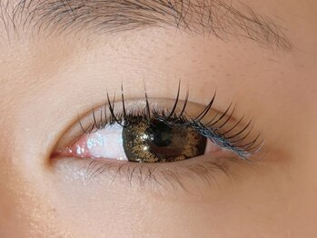 ダズル(DAZZLE)/フラットラッシュ　100本