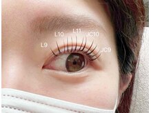 テイラー(Taylor)/エクパ140本　SONE