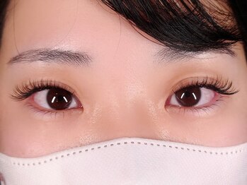 アイラッシュ ノード(eyelash nodo)/クローバーフラット140本/下20本