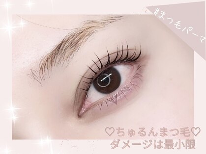 グレース(grace)の写真