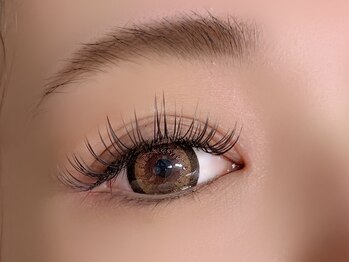 アンディ(ANDY)/フラットラッシュ120