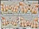 ラッキースター(Lucky Star)の写真