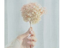 フィグ(Fig)