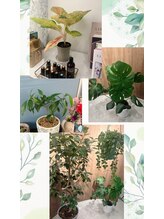 ケー スマイル ピージェー(k_smile_pj)/サロン内は癒しの緑がたくさん♪