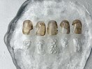 インクネイル/ホワイト/パール