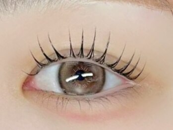 ルシアラッシュブロウ 新宿(LUCIA LASH BROW)/【韓国で話題マスカラパーマ♪】