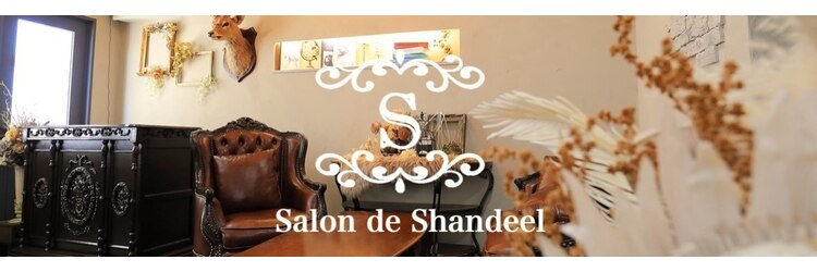 サロン ド シャンディール(Salon de Shandeel)のサロンヘッダー