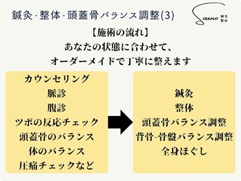 ソウノ 御茶ノ水(Souno)/鍼灸・整体・頭蓋骨の調整(3)
