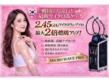 プラージュスパ(Plage Spa)の雰囲気（脂肪層から温めて引き締め痩身）