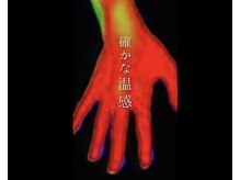 シュシュ(Chouchou)/