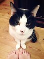 プリヴェ バイ サロンリュクス(Prive by Salon Luxe) 我が家の三番目ソラ 溺愛中♪私の足とにらめっこ(笑)