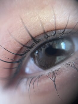 シュウ バイ プペ(SYV by pupe)/ラッシュリフト