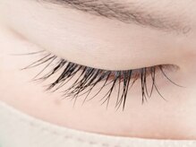 静流(shizuru)/シングルラッシュ片目　50本