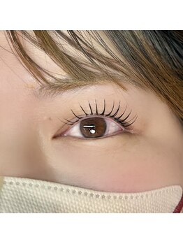 ペタル(petale)/リフエク ダブルフラット80束