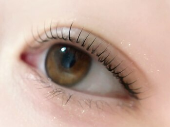 アイモア 大垣店(eye mor.)/まつげパーマ/眉毛/アイブロウ