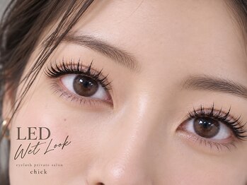チック(chick)/大人のLEDウェットルック