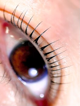 ネージュ(Neige)/