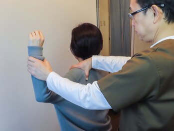 ワンプラス(OnePlus+)/検査