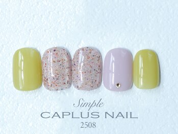 キャプラスネイル ミートトゥリー 中津川(CAPLUSNAIL meettree)/■シンプルプラン■ 2508