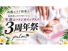 パルム(palm)