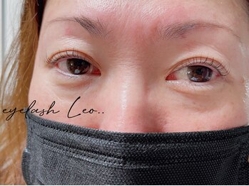 レオ(Leo)/■まつげパーマ/ラッシュリフト