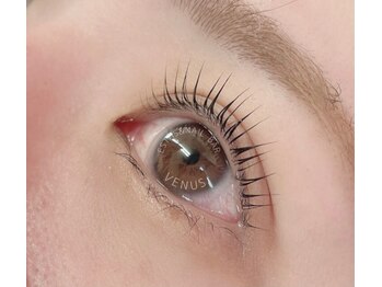 ヴィーナス 船橋駅前店(VENUS)/まつ毛カール