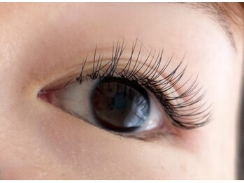 シマー(shimmer)/バインドロック60束