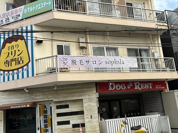 ソフィラ(sophila)/目印