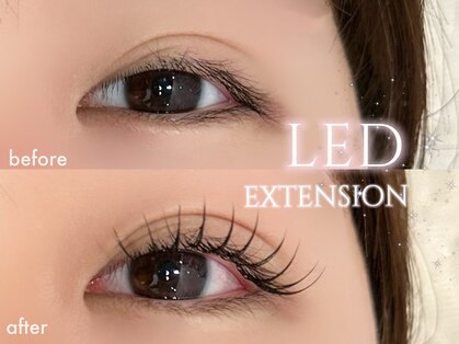 オル(Olu)の写真