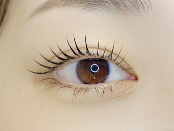 ロンド(Rond)/カールデザイン