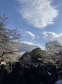 マキア 上野店(MAQUIA)&nbsp;上野公園の桜祭りは毎年いきます♪