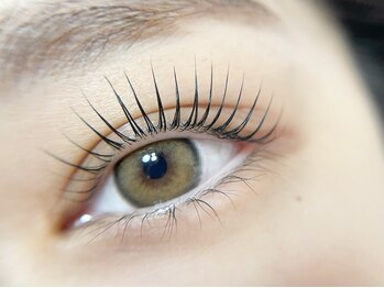 リンク(LINK)/上まつげパーマ