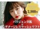 ケイト(KATE)の写真