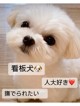 ソワン(soin)/看板犬