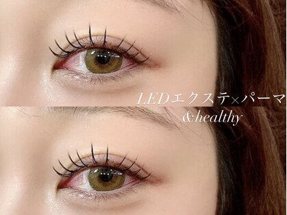 シュシュ(Shu Shu)の写真