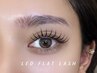 *new open 割引*【LEDエクステ】FLAT LASH ~120本まで 7980yen →5980yen