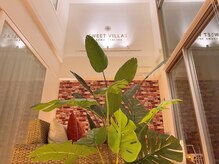 スイートヴィラズ 北堀江店(SWEET VILLAS)/SNS映え抜群★☆★