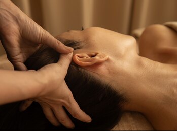 ルチルプラス(Rutile+)/