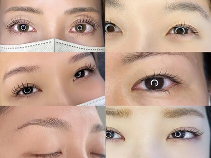 ラフ(Lafu)の写真