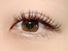 パキラ(Pachira)/上品濃さ＆ゴージャス華やかさ