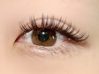 パキラ(Pachira)/上品濃さ&ゴージャス華やかさ