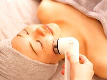 マグノリア(Magnolia)