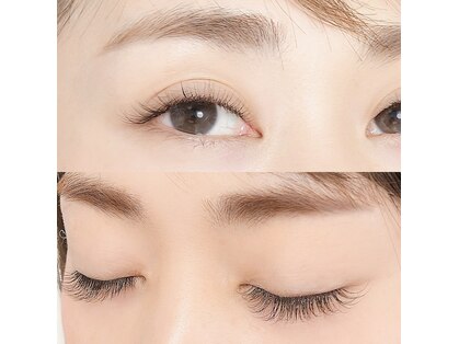 リッコ(RICCO)の写真