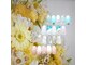 モコネイル(moco nail)の写真