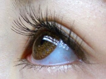 レディア 所沢店(Ladia)/太さ0.1~0.2mm◎4種類使用