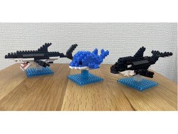 リヴ/プチブロック　海のなかま